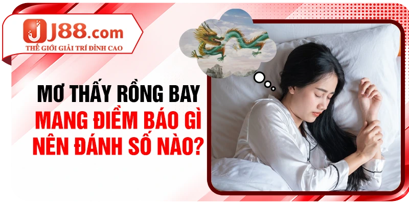 Mơ Thấy Rồng Bay Mang Điềm Báo Gì, Nên Đánh Số Nào?